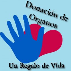 Día Nacional de la Donación de Órganos
