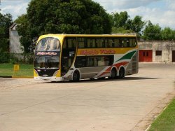 Un colectivo entorpece el paso en la Avenida Coronel Blanco