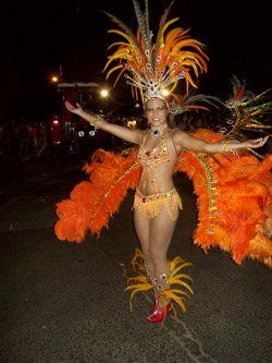 Exitosa inauguración de los carnavales saladeños 2010