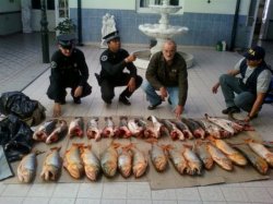 La Policía Federal incautó cerca de $10 mil en pescados
