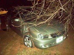 Un camión con rollizos se llevó por delante un automóvil