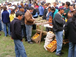 Agricultores familiares de Lavalle y la región intercambiaron mucho más que semillas