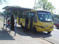 Chóferes de San Miguel Bus piden que Alterats llame a licitación