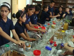 Alumnos de la Escuela Técnica de Saladas realizaron un terrario y un acuario