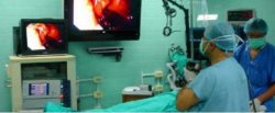 Estudian la aplicación de la técnica laparoscópica para realizar autopsias