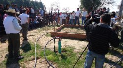 Todo “casi a punto” en el bañadero de Paranacito