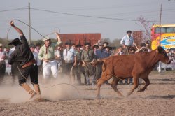 Más de 25 mil personas asistieron a La Rural de Corrientes