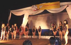 Presentarán en Corrientes la Fiesta del Gladiolo
