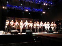 Inició la X Fiesta Provincial de la Miel y festejos 279° Aniversario de Saladas