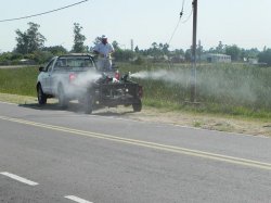 La Municipalidad fumiga Saladas