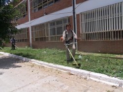 Intensa tarea de desmalezamiento y corte de pasto