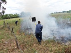 Seis incendios seguidos en una siesta acelerada para Bomberos de Saladas