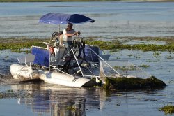 Comenzó la limpieza de laguna Soto con el Intendente haciendo el trabajo