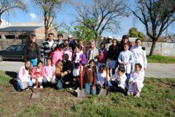 El municipio inicio plantación de más de cien árboles en la ciudad