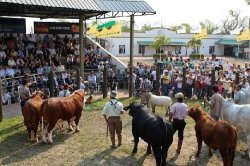 Mañana se lanza La Rural de Corrientes 2012