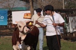 Más de 140 empresas confirmaron su presencia en La Rural de Corrientes 2012