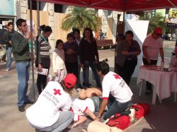 Cruz Roja Corrientes conmemoró el Día de los Primeros Auxilios