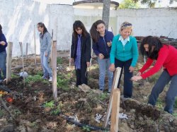 “Aprendamos a reciclar la basura domiciliaria”