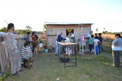 Importante operativo de esterilización de mascotas en barrio "Trencolí" de Saladas
