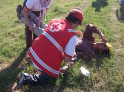 Cruz Roja Argentina dictará curso de verano de primeros auxilios