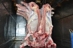 La planta de faena en Saladas, funciona con total normalidad