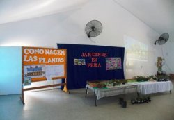 El JIN Nº 7, desarrolló el Proyecto Jardines en Feria