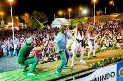 Cultura Municipal confirmó más artistas para la Fiesta de la Miel