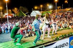 Cultura Municipal confirmó más artistas para la Fiesta de la Miel
