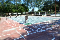 La Municipalidad refacciona canchas de tenis del Polideportivo