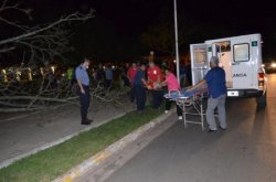 Un árbol de la plaza Cabral cayó sobre un transeúnte