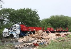 Se arrojó del camión porque no sabía que había en frente