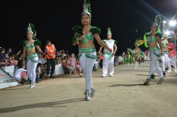¿Quienes integran el Consejo Organizador de los Carnavales?