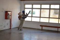 La Municipalidad controla y erradica plagas en Escuelas saladeñas