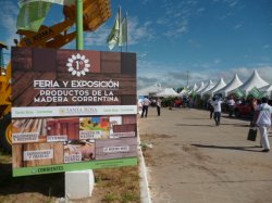 Nació un espacio para mostrar la producción de la madera correntina