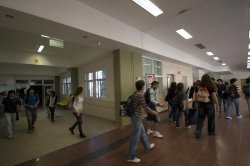 La UNNE alcanzó un nivel récord de movilidad estudiantil internacional