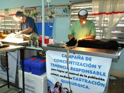 En marcha la campaña gratuita “Tenencia Responsable”