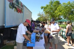 Mercado Popular y Frutas Para Todos en Saladas