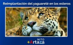 Fue aprobado el "Proyecto Yaguareté" del senador Artaza