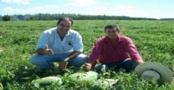 Charla Capacitación en el Cultivo de Sandia