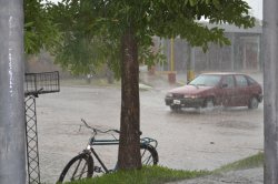 Hasta el momento no hay familias afectadas por la lluvia