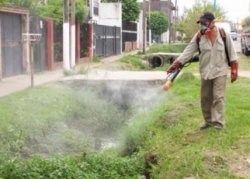 Trabajos de prevención en conjunto entre el Municipio y el Hospital de Saladas