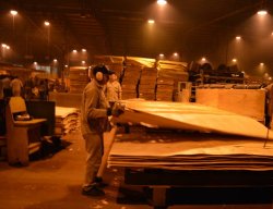 El sector foresto industrial de Corrientes no es ajeno a la situación de baja actividad generalizada