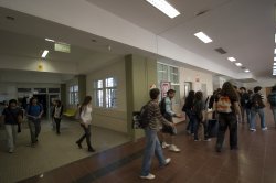 Abren inscripción para becas universitarias destinadas a carreras prioritarias para Corrientes