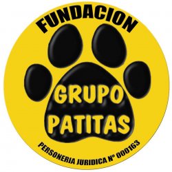 La Fundación Grupo Patitas rechazó el video de los canes