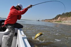 A partir de hoy rige la veda de pesca en nuestra provincia