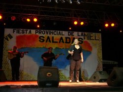 La contratación del sonido para la Fiesta de la Miel otra vez en la mira