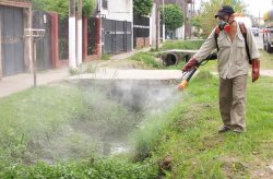 El municipio y el veterinario formalizaron ante provincia la denuncia por leishmaniasis