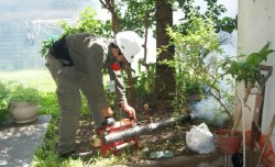 Por casos de leishmaniasis y dengue, Epidemiología realizará trabajos en Saladas