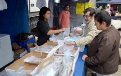 Este miércoles 28 el camión con pescados de mar estará en Saladas