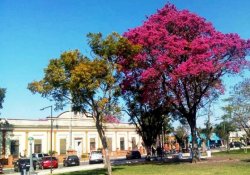 La provincia dispondrá de 268 colegios para las elecciones del domingo